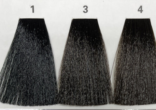 1 (ASH NATURALES) AEN COLOR PLEX 4.06 Fl. Oz./120ml.