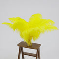 24"-26" Length Yellow Natural Ostrich Feathers Centerpiece Filler-ubackdrop
