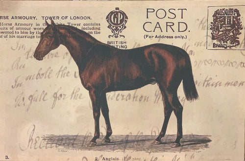 25 Mackenzie Lane Horse Postcard Print