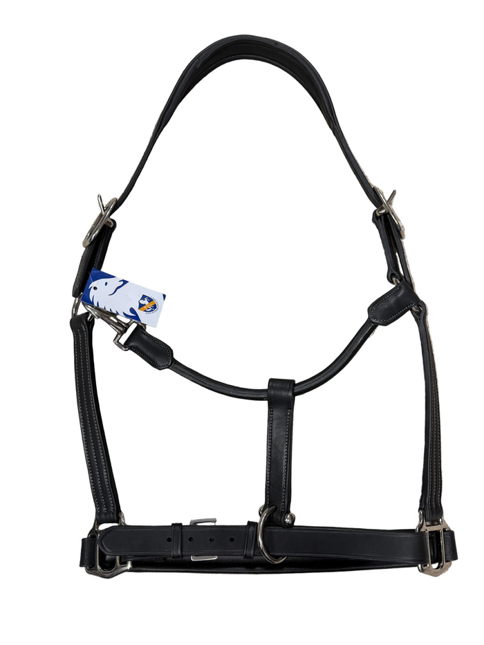 Royal Highness Padded Halter with Fancy Stitch