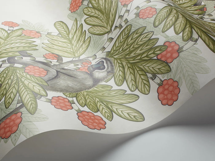 Acacia Monkey Wallpaper - Green/Coral