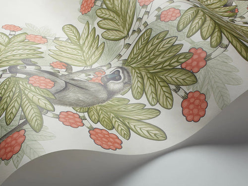 Acacia Monkey Wallpaper - Green/Coral