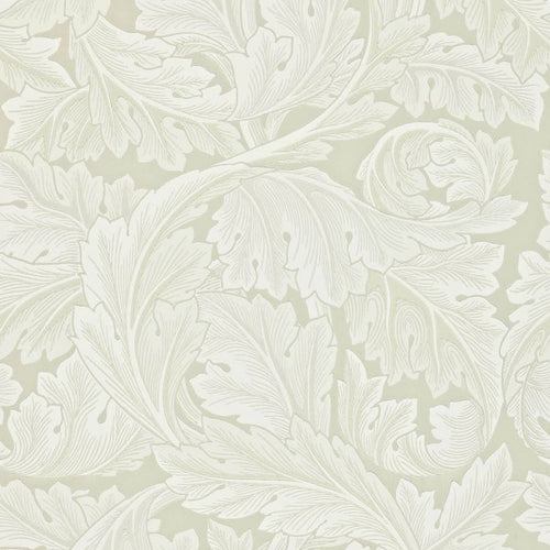 Acanthus by Morris Wallpaper - Chalk