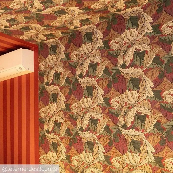 Acanthus by Morris Wallpaper - Madder/Thyme