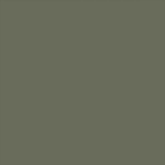 Spruce Forest