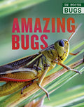Marissa's Books & Gifts, LLC 9780711248076 Hardcover Amazing Bugs (In Focus: Bugs)