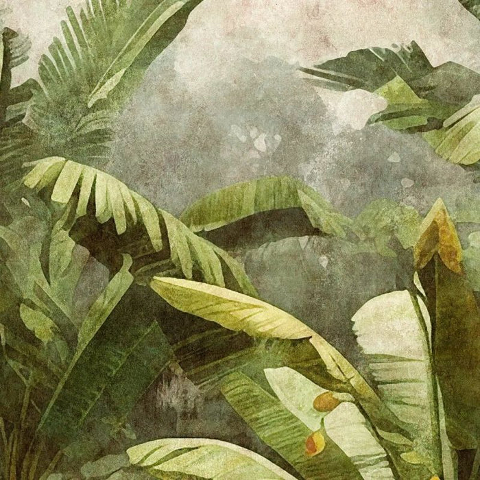 Amazonas 3 Custom Sized Wallpaper Mural (per m2)