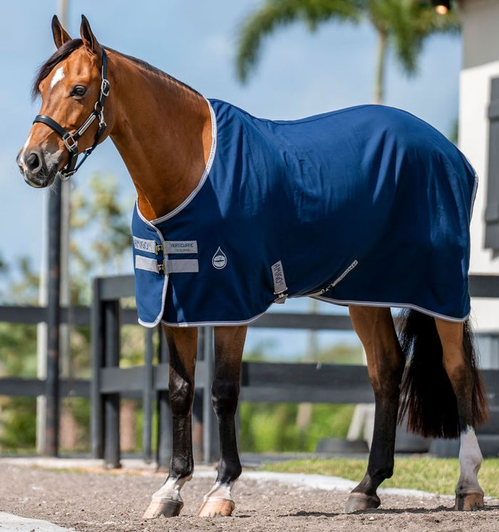 Amigo Stable Sheet *Discontinued Style