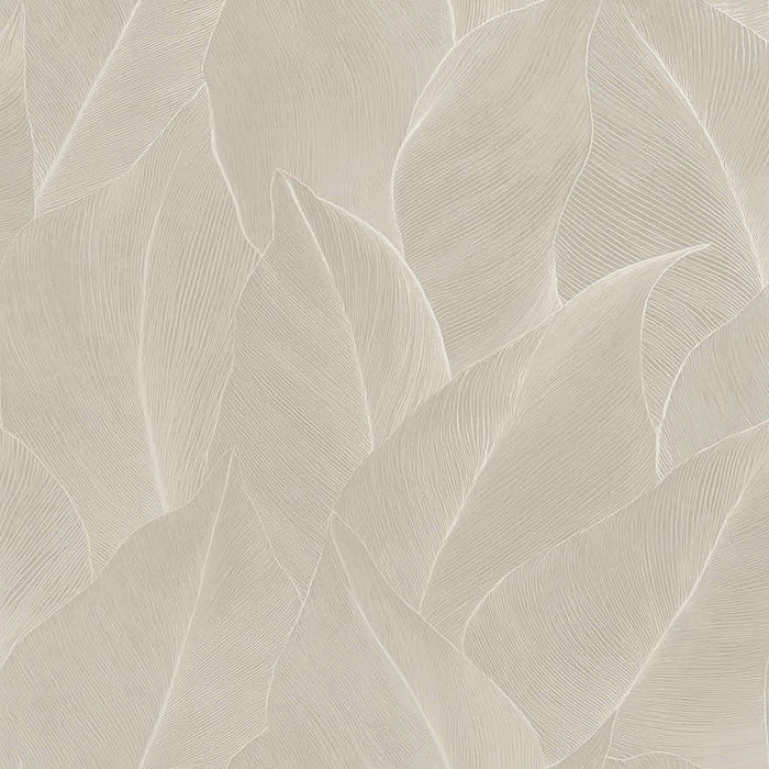 Anthurium Wallpaper - Cream