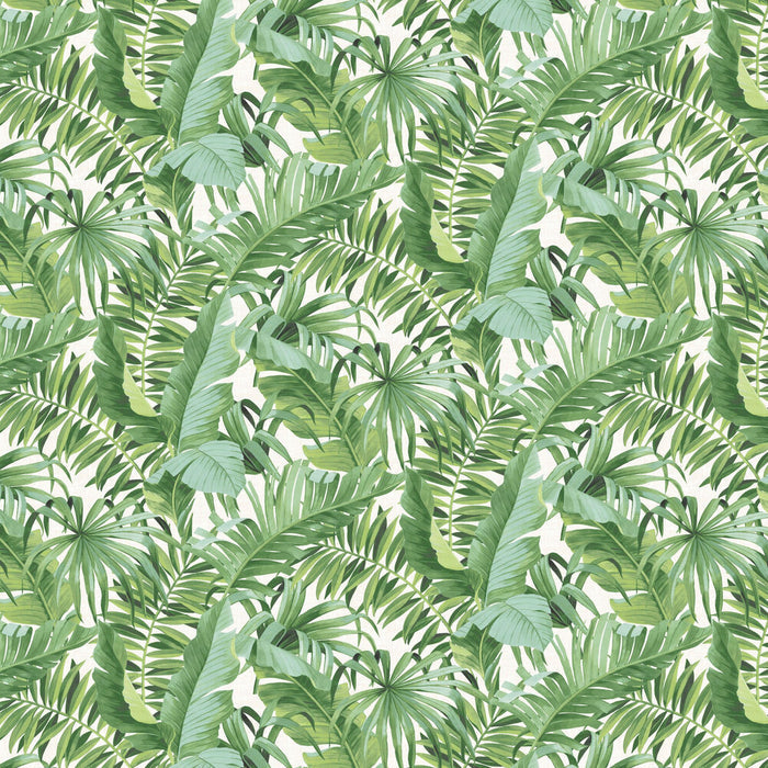 Baja Tropical Leaf Wallpaper