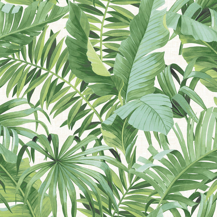 Baja Tropical Leaf Wallpaper