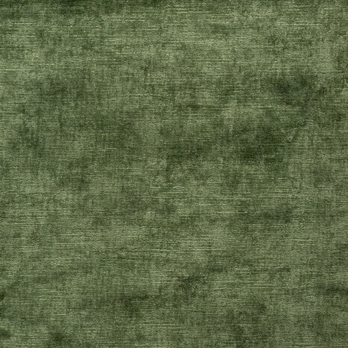 Palm Leaf