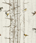 Birch Trees Wallpaper – Beige