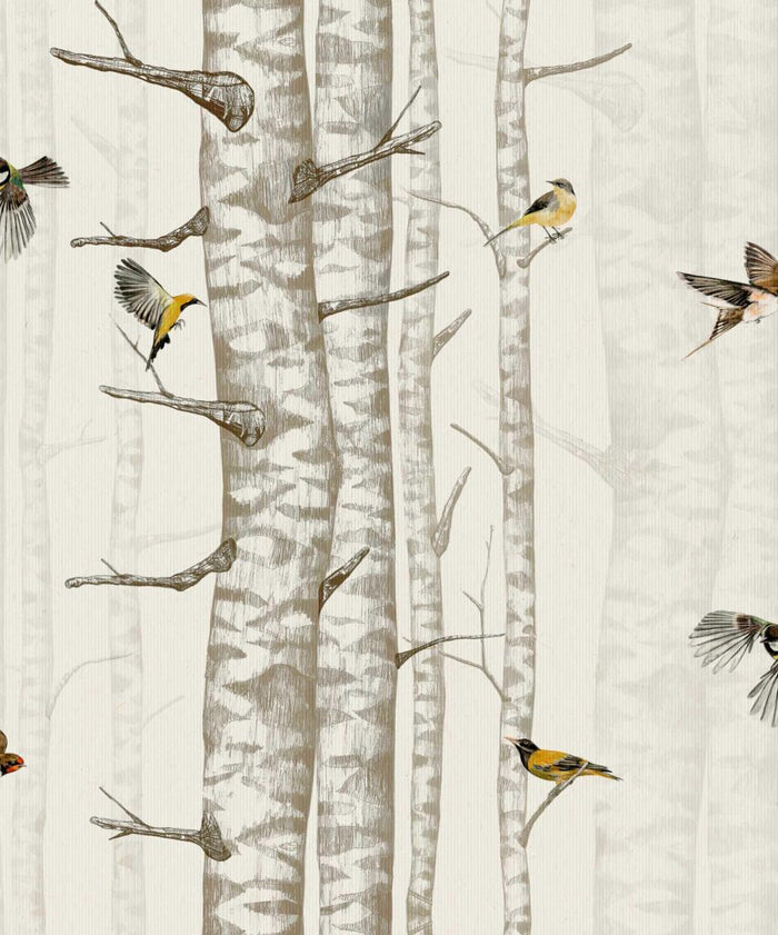 Birch Trees Wallpaper – Beige