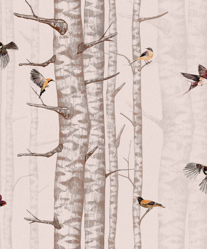 Birch Trees Wallpaper – Faint Pink