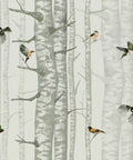 Birch Trees Wallpaper – Silvester