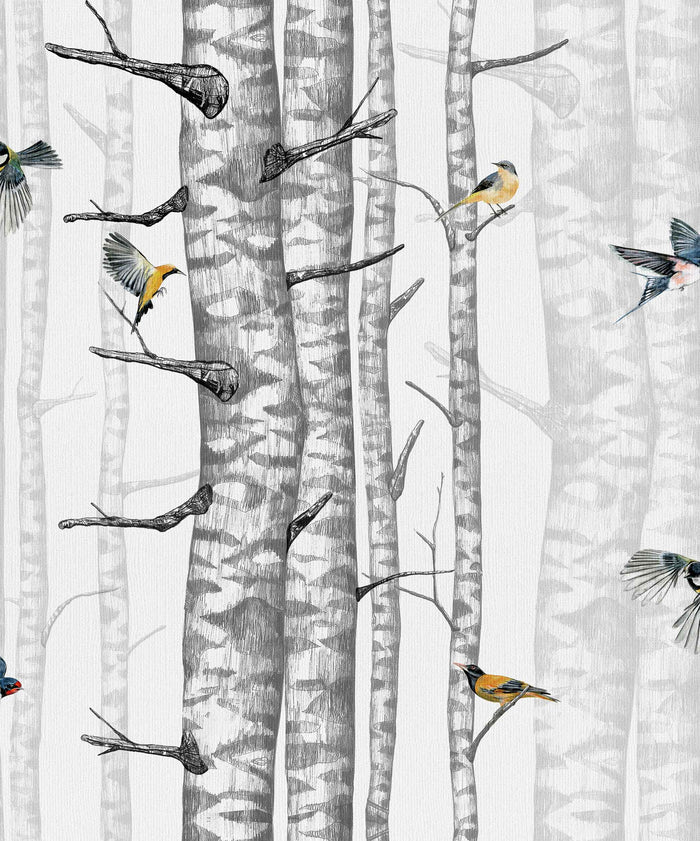 Birch Trees Wallpaper – White/Grey