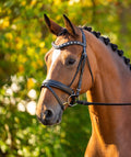 Black Oak Daphne Dressage Bridle