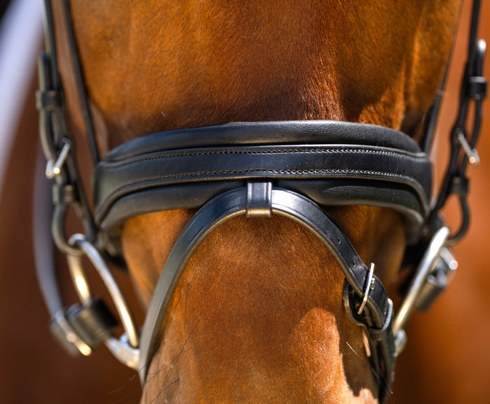 Black Oak Daphne Dressage Bridle