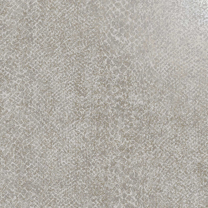 Boa Wallpaper - Grey