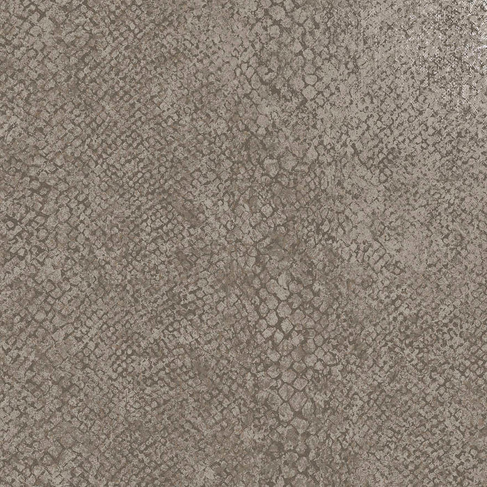 Boa Wallpaper - Taupe
