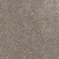 Boa Wallpaper - Taupe