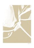 Branches by Anna Johansson