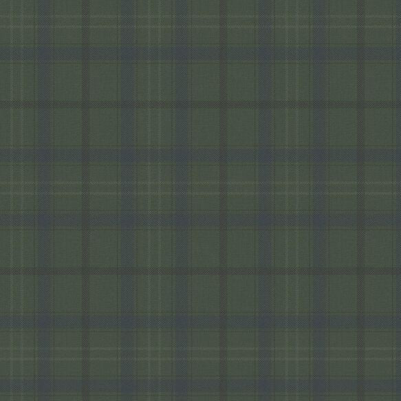 Check It Out Wallpaper - Green Duck