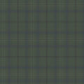 Check It Out Wallpaper - Green Duck