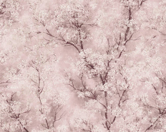 Cherry Blossoms Spring Wallpaper - Blush