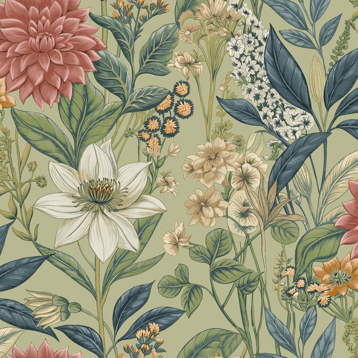 Clematis – Trailing Floral Wallpaper – Sage