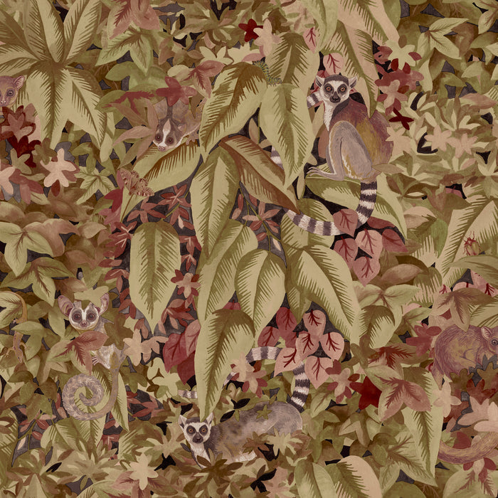 Comoros – Hidden Lemur Wallpaper – Berry
