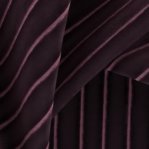 Viola