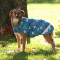 Digby & Fox Waterproof Dog Coat