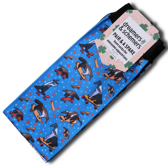 Dreamers & Schemers Anteaters Ollie Pair & A Spare Socks