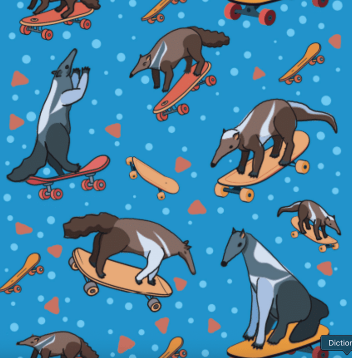 Dreamers & Schemers Anteaters Ollie Pair & A Spare Socks