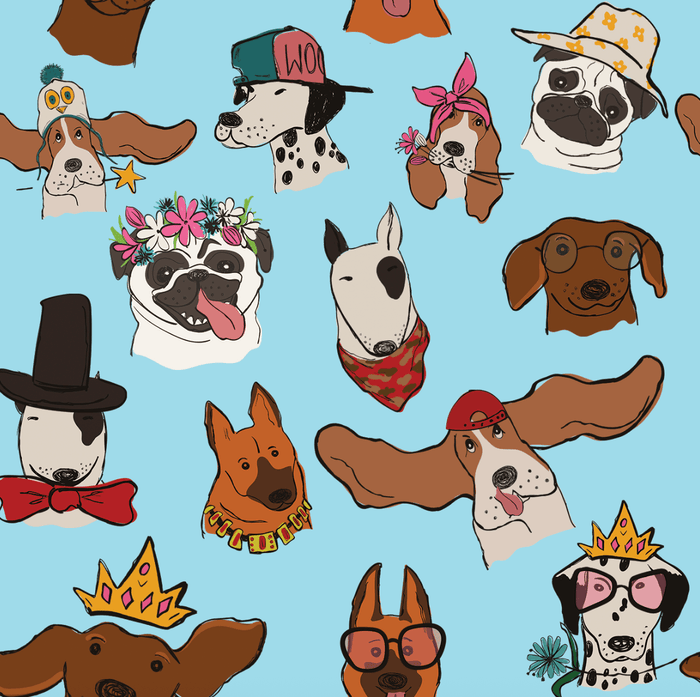 Dreamers & Schemers Can I Pet That Dog Pair & A Spare Socks