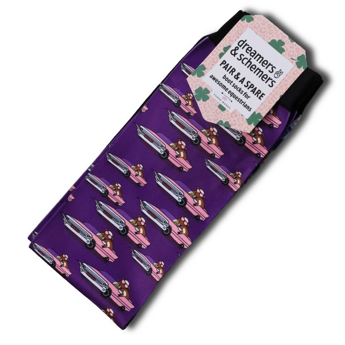Dreamers & Schemers CattleLac Pair & A Spare Socks