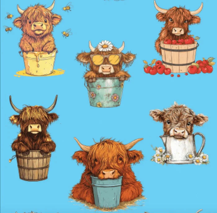 Dreamers & Schemers Highland Cow Pair & A Spare Socks