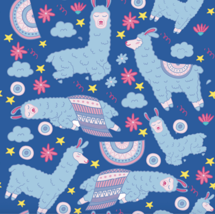 Dreamers & Schemers Sleepy Llama Pair & A Spare Socks