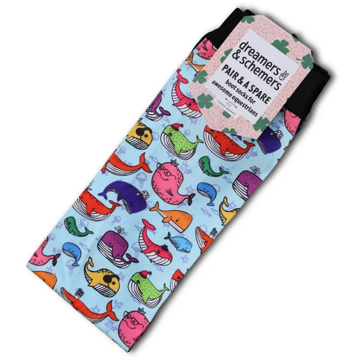 Dreamers & Schemers Whale Whale Whale Pair & A Spare Socks