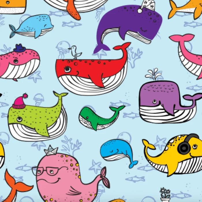 Dreamers & Schemers Whale Whale Whale Pair & A Spare Socks