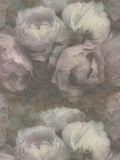 Dreamy Rose Wallpaper - Dusky Grey - Discontinuing