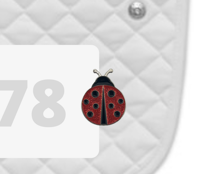 DuBois Cheval Ladybug Number Pin Charms