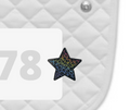 DuBois Cheval Rainbow Cheetah Number Pin Charms
