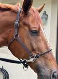 DziaSport Happy Horse Hybrid Halter