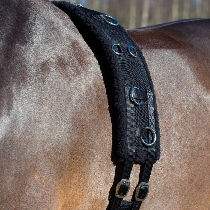 Equinavia Horze Training Surcingle