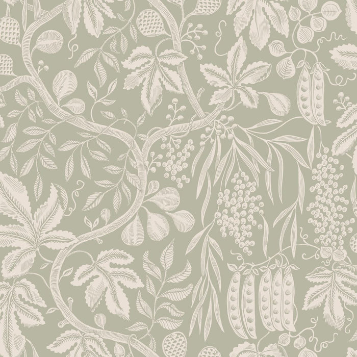 Fig Garden Wallpaper - Sandstone