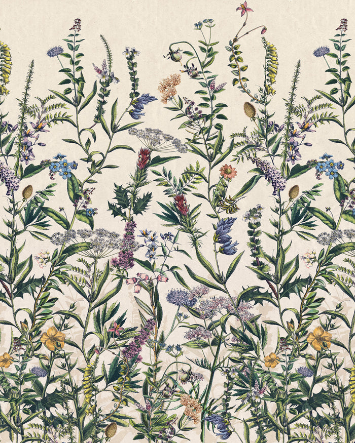 Flowering Herbs - Custom Sized Mural Wallpaper (per m2)