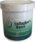 Gallagher’s Water Balanced Electrolytes & Trace Minerals 1lb